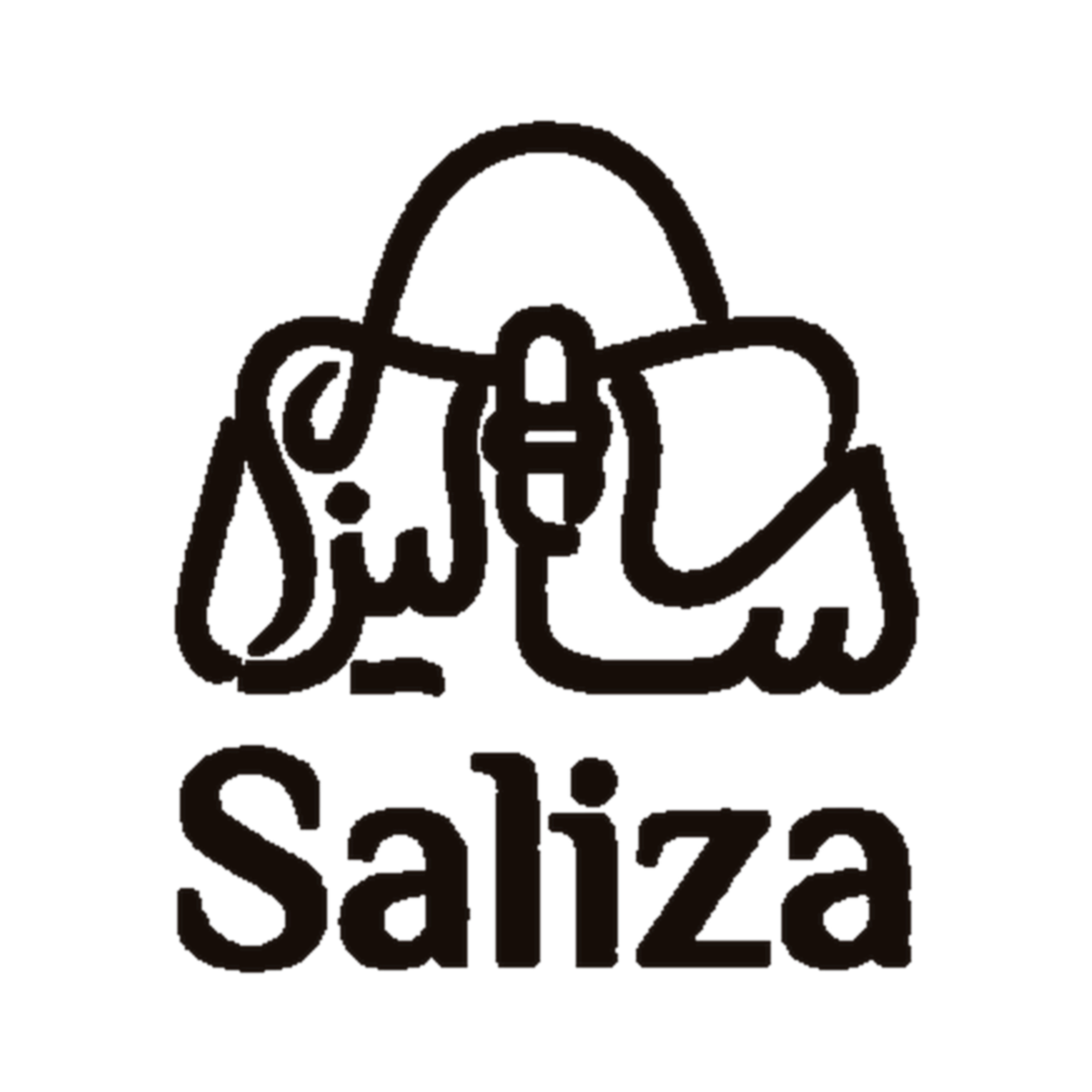 سالیزا